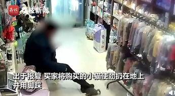 女子店内视频爆料大全集,揭秘真实生活瞬间