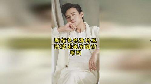 内地娱乐圈爆料王凯,内地娱乐圈爆料王，揭秘娱乐圈幕后故事