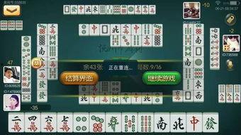 麻将配料爆料视频大全图解,图解爆料视频大全解析